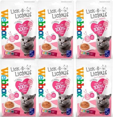 Webbox Lick-e-Licious Salmon Cat Soup Treat - Pack of 6 (24x20g Sachets)