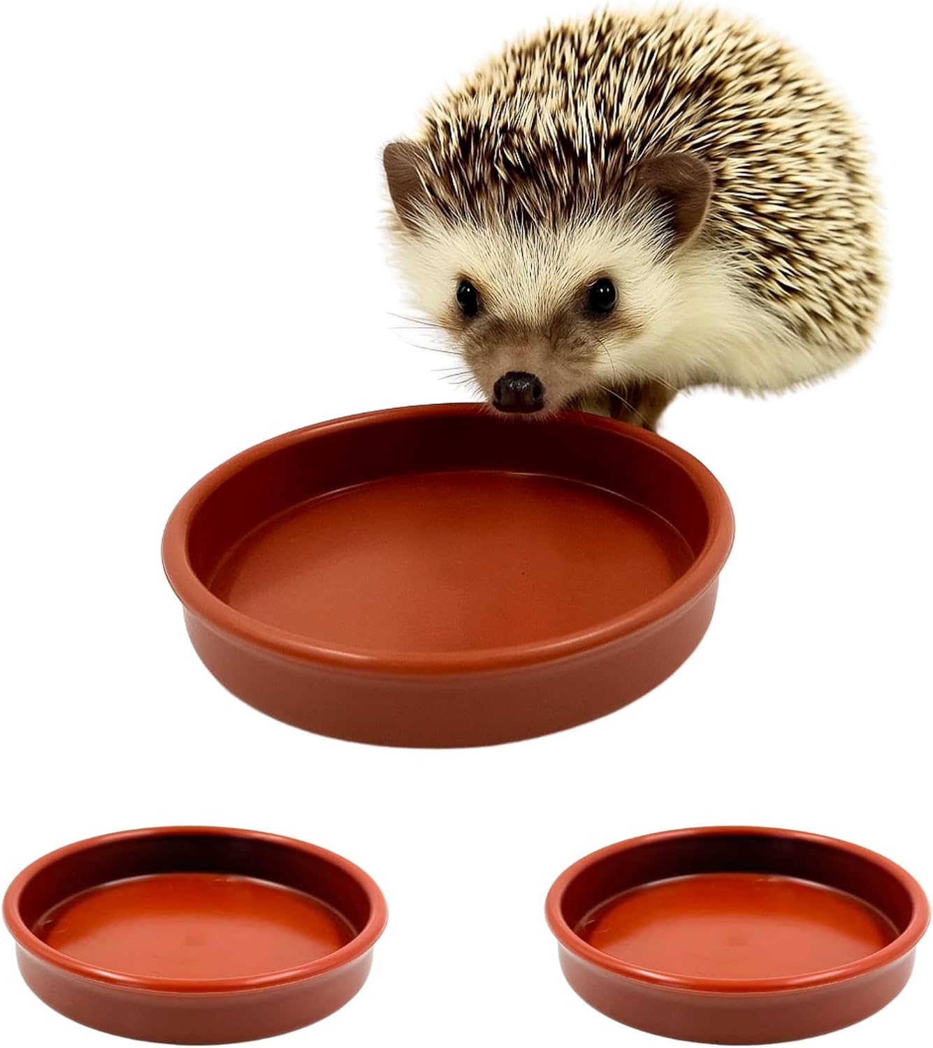Hedgehog Bowl for Food and Water (Pack of 3) Hedge Hog Feeding Bowls Outdoor Wildlife Garden Dishes 13cm Wide, Low-Profile 2cm Deep Design