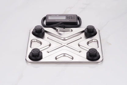 Large Digital Scale Up to 200kg 0.1kg increments Heavy Duty Commercial Scales Large Platform Stainless Steel Parcel Scales