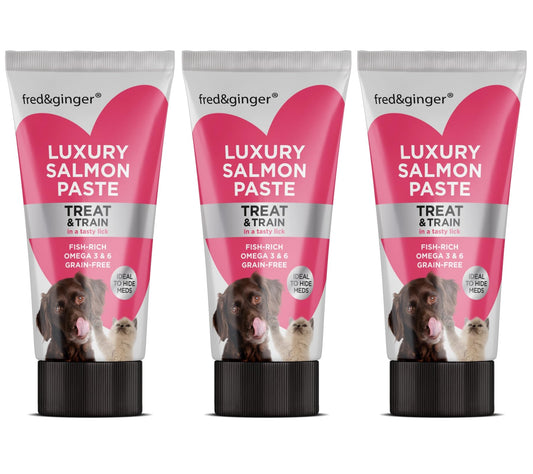 Salmon Paste for Dogs and Cats 75g [Pack of 3] Grain Free, Hypoallergenic Luxury Salmon Pate Ideal Training Aid, Medication Administering